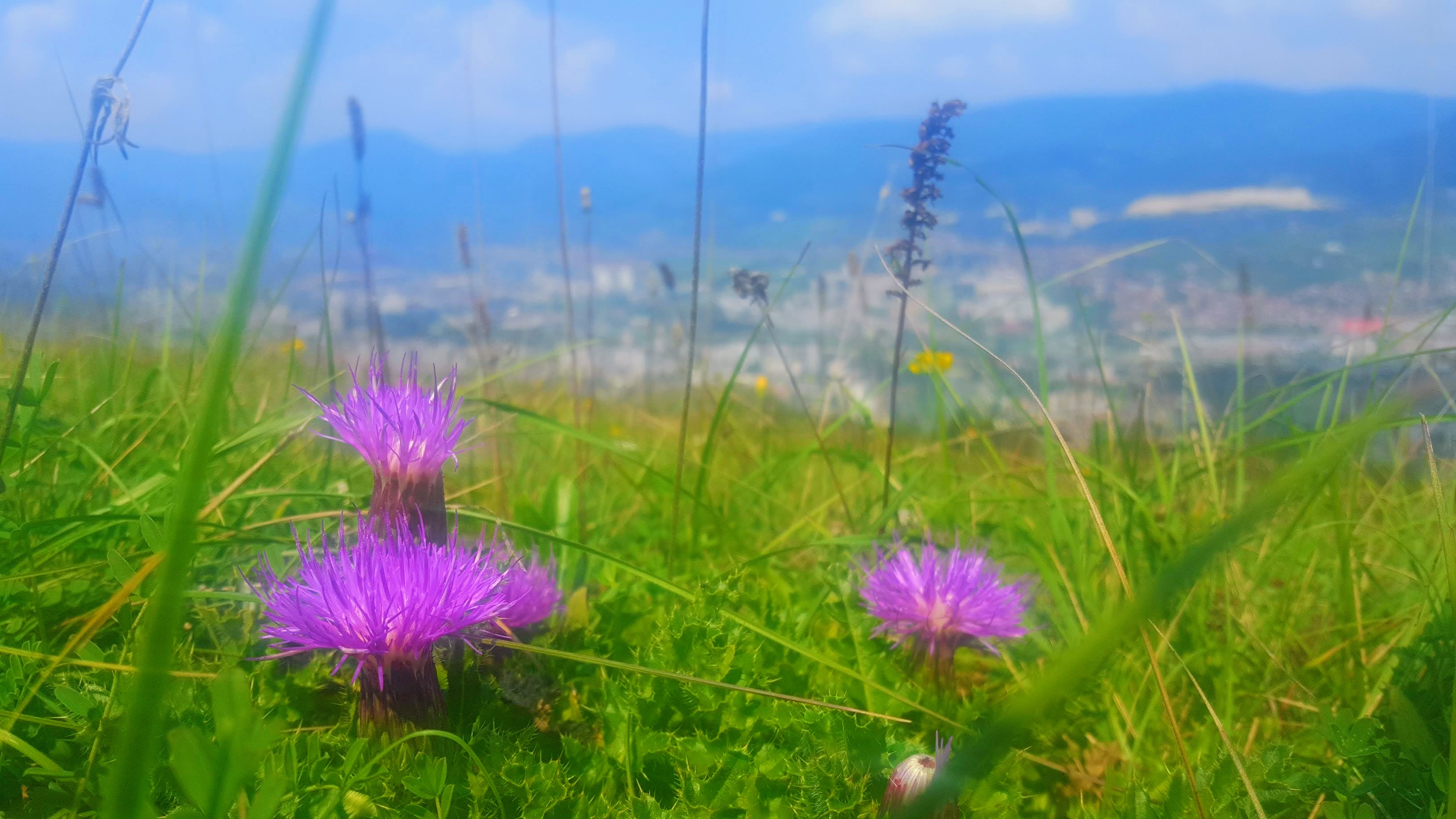 20180812 135133-EFFECTS