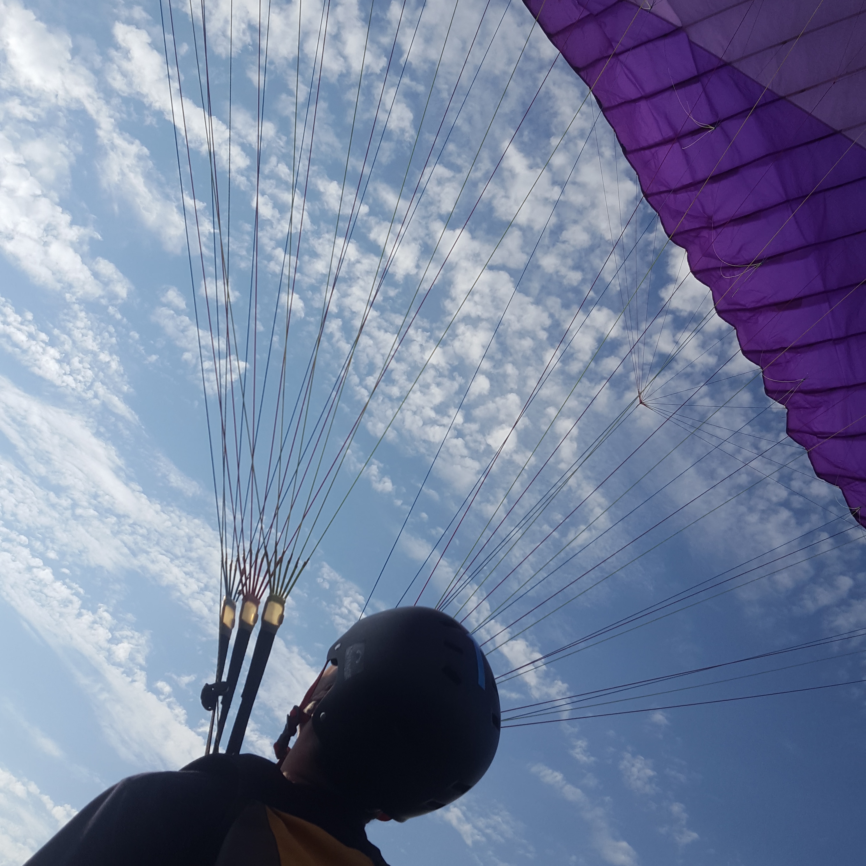 IMG 20190823 200234 698